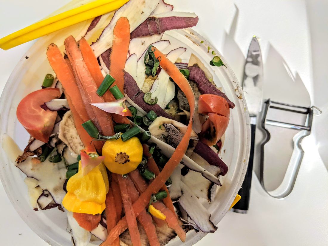 Lombricomposteur d'appartement ouvert montrant le compost et les vers