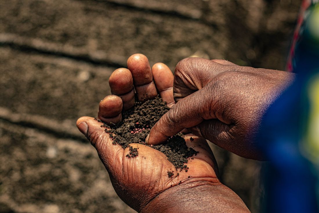 Mains semant des graines en ligne dans une terre de potager fraîchement préparée