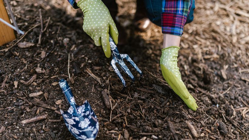 Potager no-dig avec couche de carton et compost en couverture du sol