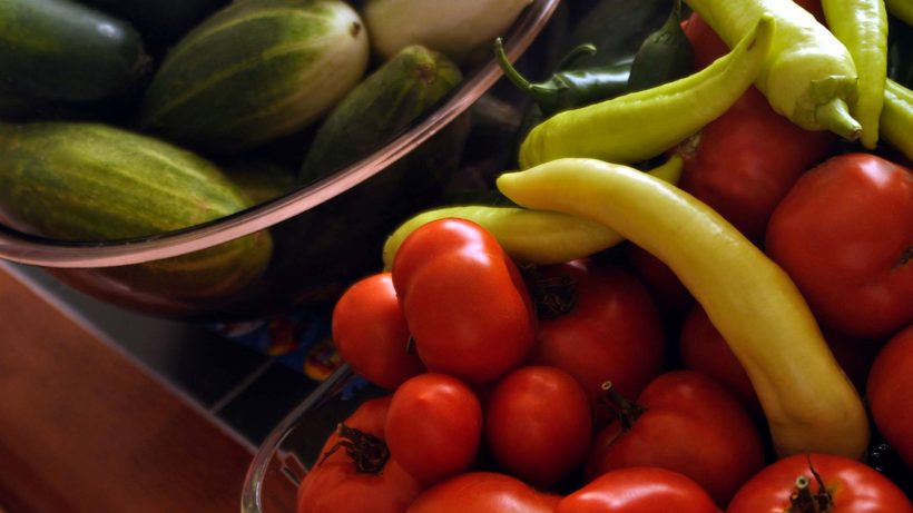 Potager en plein été avec tomates, courgettes et herbes aromatiques